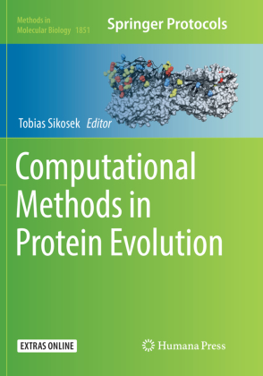 Computational Methods in Protein Evolution 