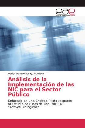 Análisis de la Implementación de las NIC para el Sector Público 