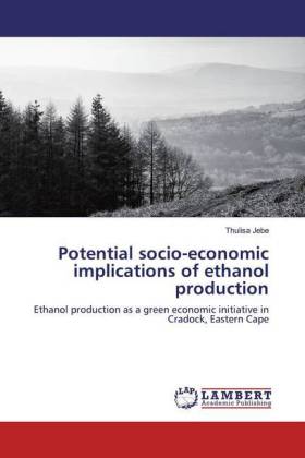 Potential socio-economic implications of ethanol production 