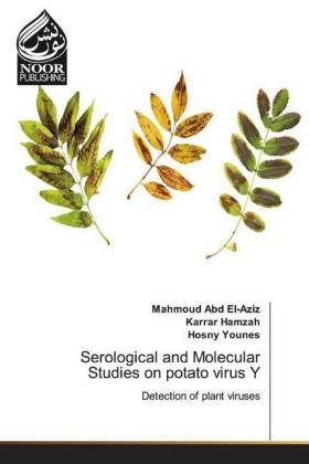 Serological and Molecular Studies on potato virus Y 