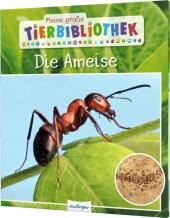Meine große Tierbibliothek: Die Ameise Cover