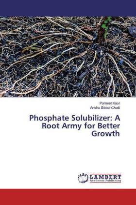 Phosphate Solubilizer: A Root Army for Better Growth 