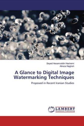 A Glance to Digital Image Watermarking Techniques 