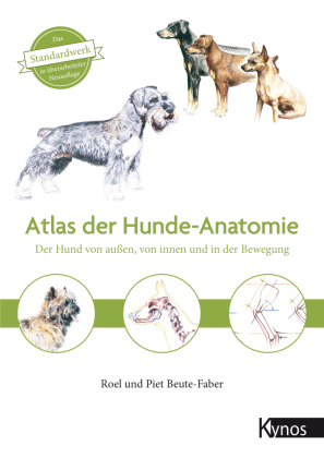 Atlas der Hundeanatomie 