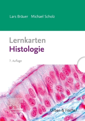 Lernkarten Histologie