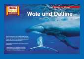 Wale und Delfine / Kamishibai Bildkarten