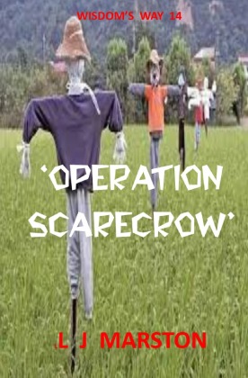 'Operation Scarecrow' 
