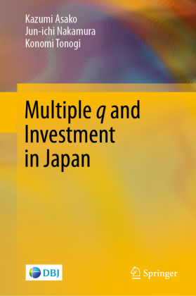 Multiple q and Investment in Japan 