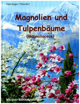 Magnolien und Tulpenbäume 