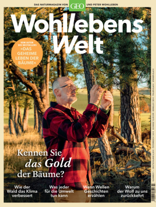 Wohllebens Welt / Wohllebens Welt 7/2020 - Kennen Sie das Gold der Bäume? 