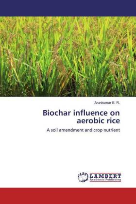 Biochar influence on aerobic rice 