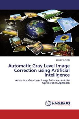 Automatic Gray Level Image Correction using Artificial Intelligence 