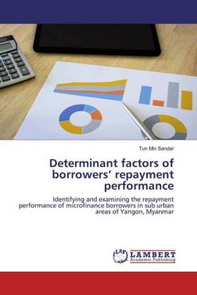 Determinant factors of borrowers' repayment performance 