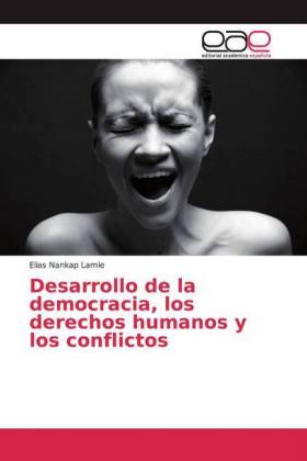 Desarrollo de la democracia, los derechos humanos y los conflictos 