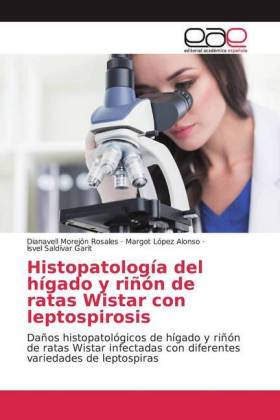 Histopatología del hígado y riñón de ratas Wistar con leptospirosis 