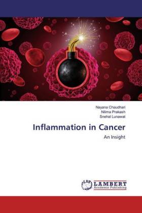 Inflammation in Cancer 