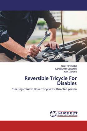 Reversible Tricycle For Disables 