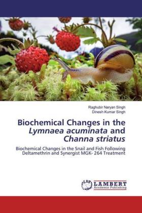 Biochemical Changes in the Lymnaea acuminata and Channa striatus 