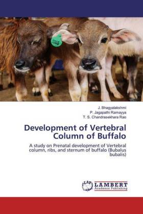 Development of Vertebral Column of Buffalo 
