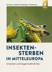 Insektensterben in Mitteleuropa