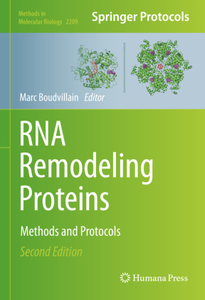 RNA Remodeling Proteins 