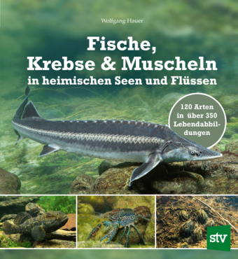 Fische, Krebse & Muscheln in heimischen Seen und Flüssen 