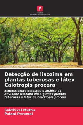 Detecção de lisozima em plantas tuberosas e látex Calotropis procera 