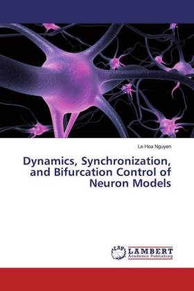 Dynamics, Synchronization, and Bifurcation Control of Neuron Models 