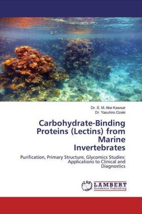 Carbohydrate-Binding Proteins (Lectins) from Marine Invertebrates 