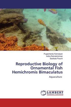 Reproductive Biology of Ornamental Fish Hemichromis Bimaculatus 