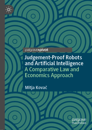 Judgement-Proof Robots and Artificial Intelligence 
