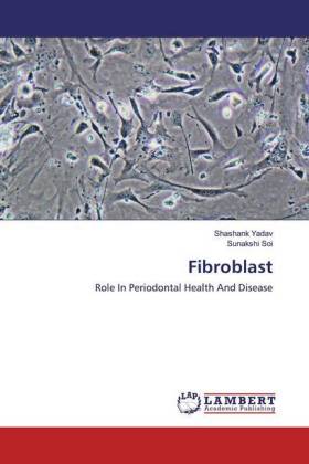 Fibroblast 
