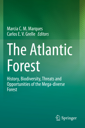 The Atlantic Forest 