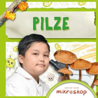 Pilze, m. 1 Beilage 