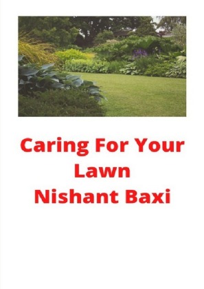 Caring For Your Lawn 
