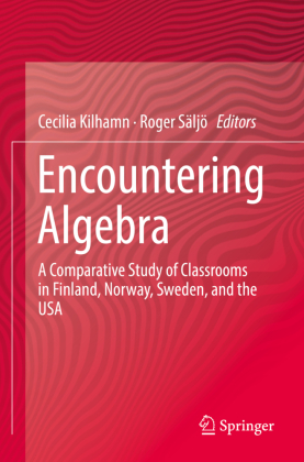 Encountering Algebra 