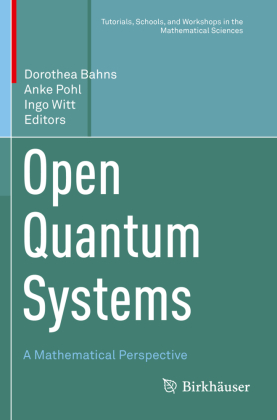 Open Quantum Systems 