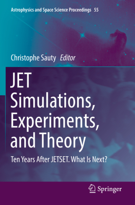 JET Simulations, Experiments, and Theory 