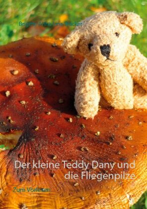 Der kleine Teddy Dany und die Fliegenpilze 