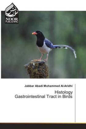 Histology Gastrointestinal Tract in Birds 