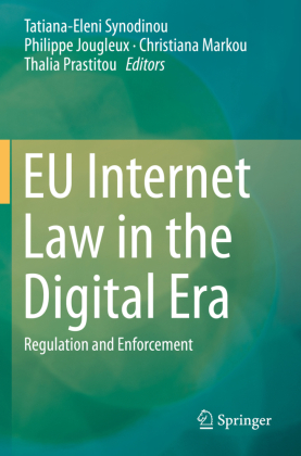 EU Internet Law in the Digital Era 