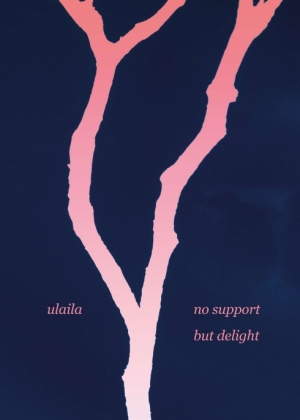 no support but delight 
