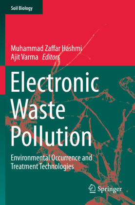 Electronic Waste Pollution 