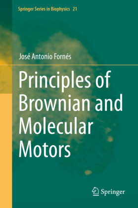 Principles of Brownian and Molecular Motors 