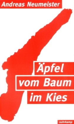 Äpfel vom Baum im Kies 