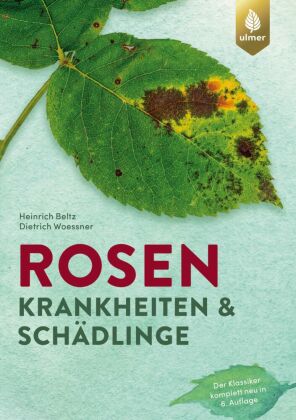 Rosenkrankheiten und Schädlinge 