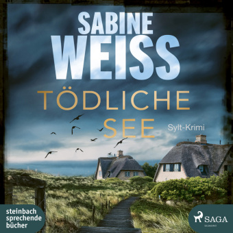 Tödliche See, 2 Audio-CD, MP3