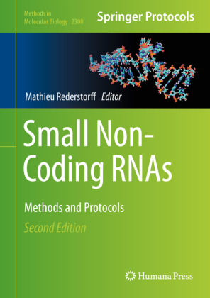 Small Non-Coding RNAs 