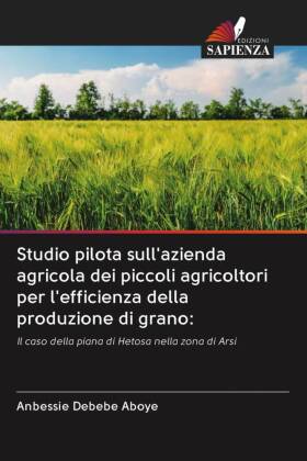 Studio pilota sull'azienda agricola dei piccoli agricoltori per l'efficienza della produzione di grano: 
