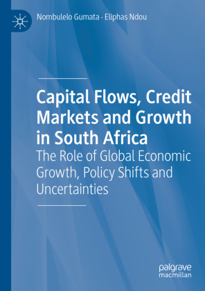 Capital Flows, Credit Markets and Growth in South Africa 